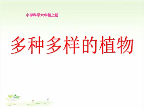 六年级上册科学-多种多样的植物-教科版(共15张)-PPT课堂课件
