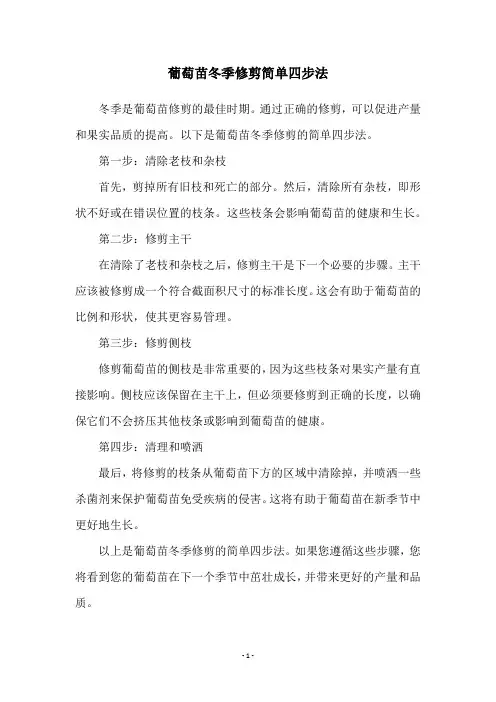 葡萄苗冬季修剪简单四步法