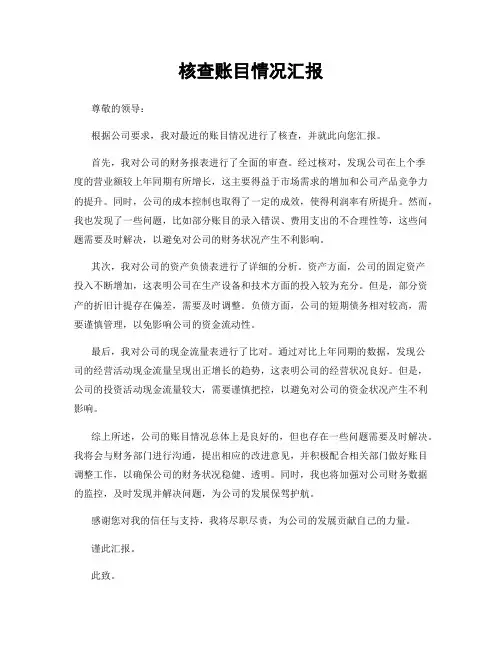 核查账目情况汇报