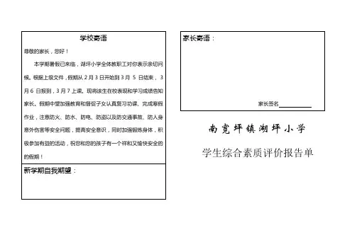 小学生成绩综合素质报告单