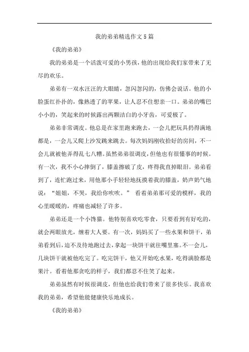 我的弟弟精选作文5篇