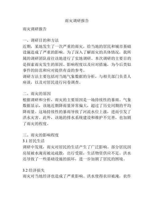 雨灾调研报告