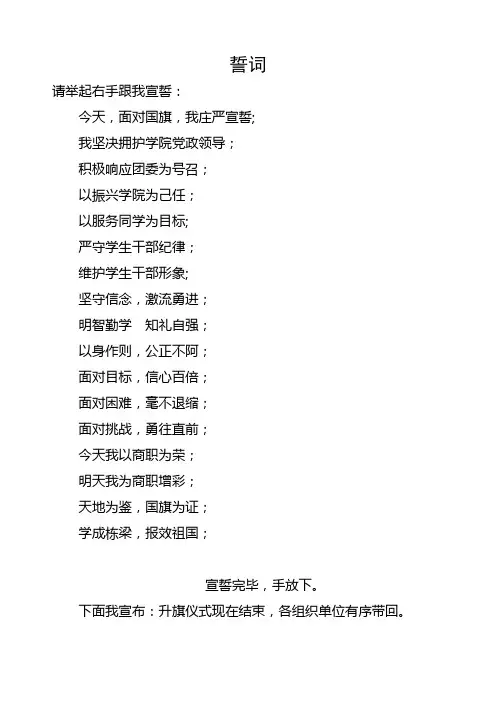 国旗下讲话誓词