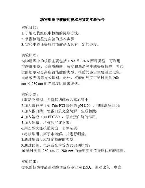 动物组织中核酸的提取与鉴定实验报告