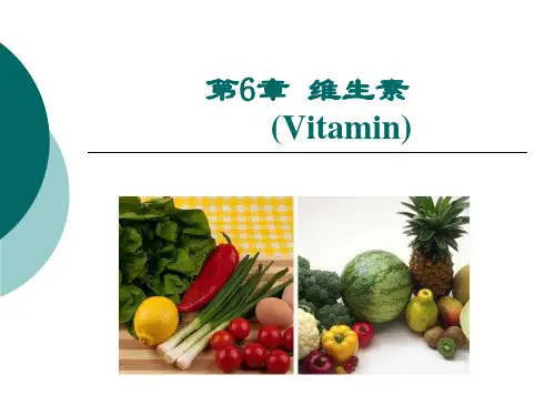 食品化学-第6、7章-维生素与矿物质ppt课件