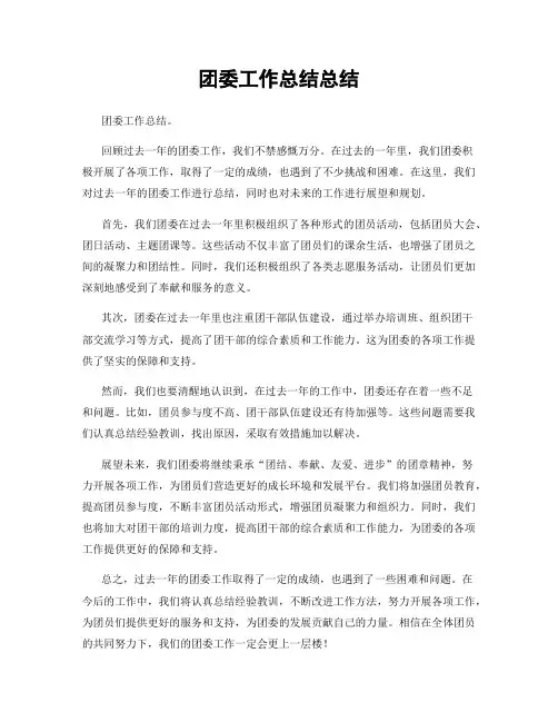 团委工作总结总结