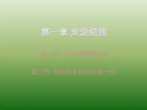 第一章 走进细胞 ppt