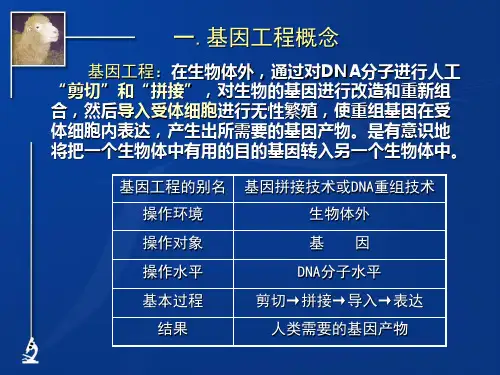 第六讲基因工程48ppt课件