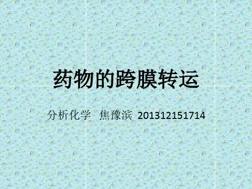 药物的跨膜转运
