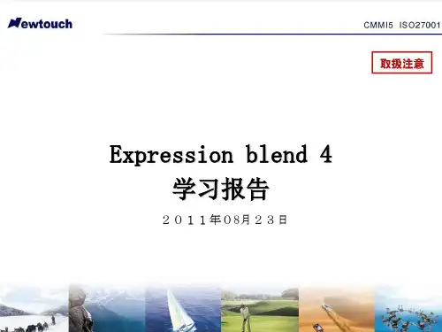 Expression blend 4