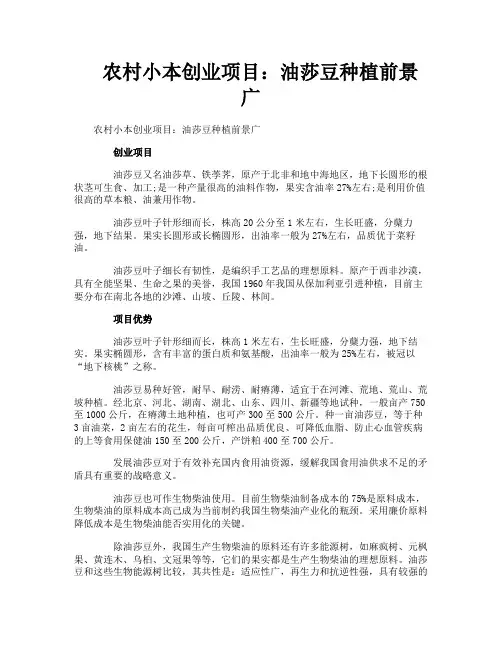 农村小本创业项目油莎豆种植前景广