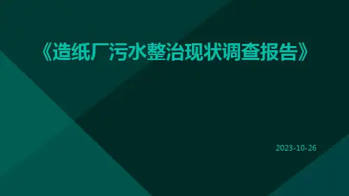 造纸厂污水整治现状调查报告