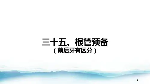 35 根管预备(前后牙有区分)