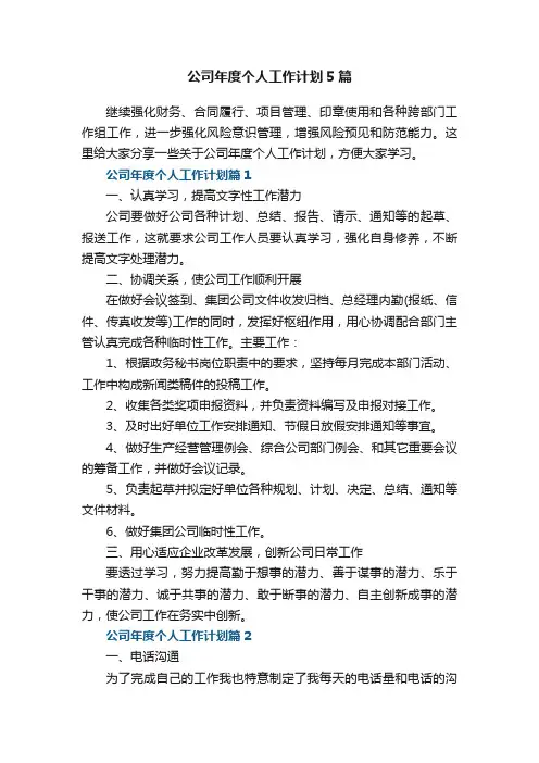 公司年度个人工作计划5篇