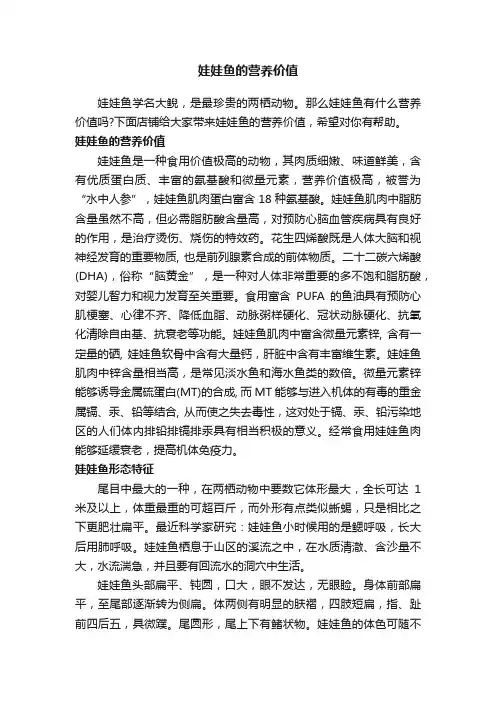 娃娃鱼的营养价值