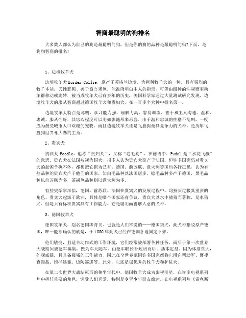 智商最聪明的狗排名