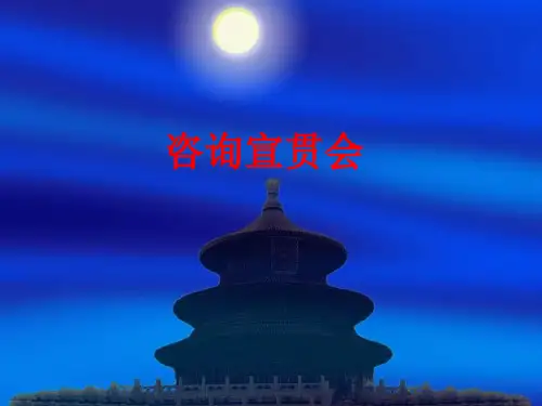 [课件]咨询宣贯会PPT