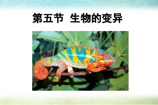 人教版生物八下2.5第五节 生物的变异 课件