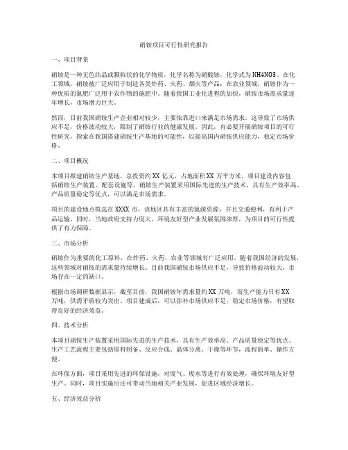 硝铵项目可行性研究报告