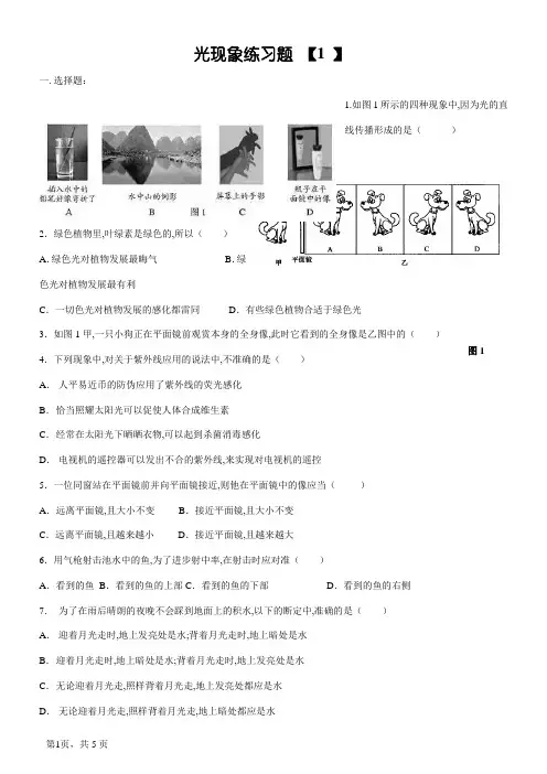 初二物理光现象测试题及答案