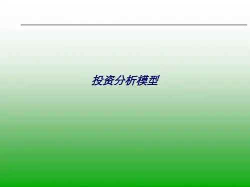 投资分析案例模型.ppt