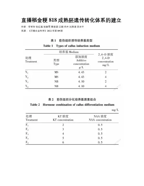 直播稻金粳818成熟胚遗传转化体系的建立