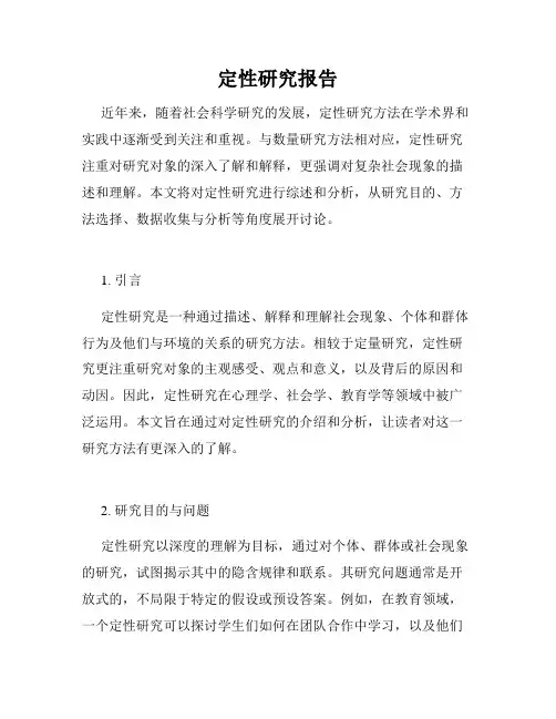 定性研究报告