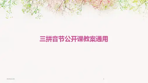 02804_三拼音节公开课教案通用
