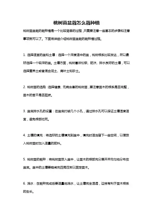 桃树苗盆栽怎么栽种植