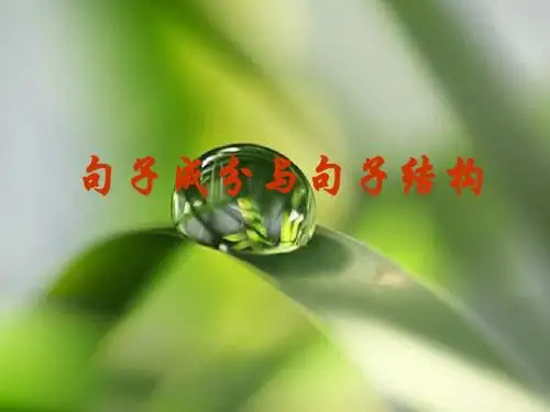 如何分析英语句子结构PPT课件