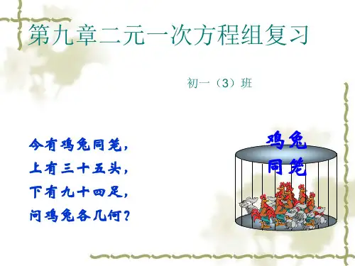 二元一次方程组复习资料