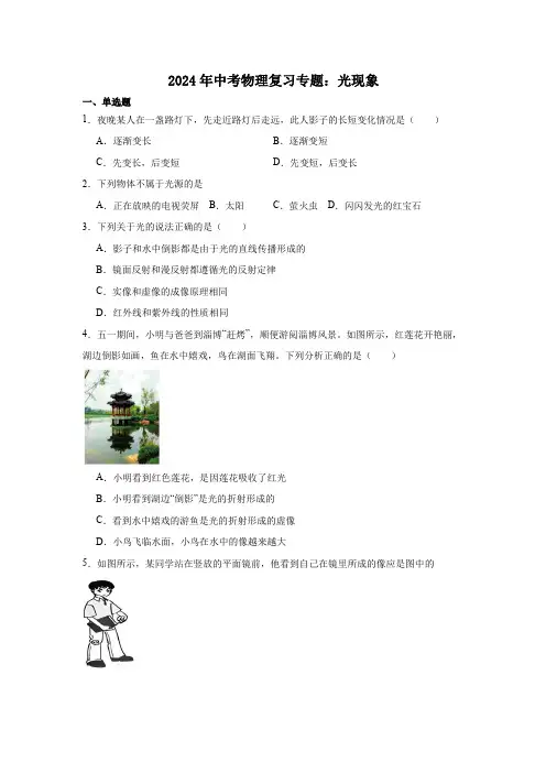 2024年中考物理复习专题：光现象(含答案)