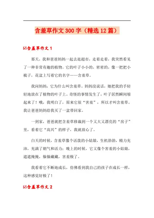 含羞草作文300字(精选12篇)