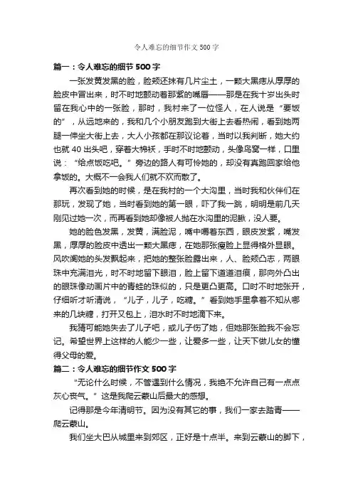 令人难忘的细节作文500字_作文难忘的事_