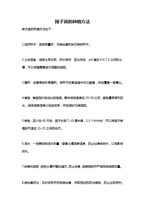 辣子苗的种植方法
