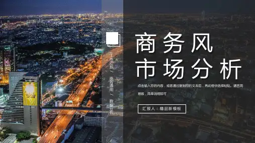 商务产品营销公司产品介绍市场分析项目推广PPT优质模板