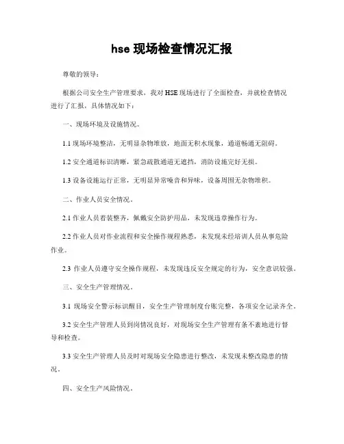 hse现场检查情况汇报