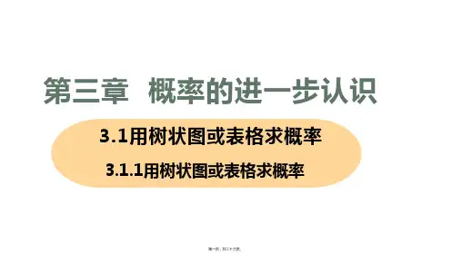 新北师大版九年级上册初中数学 3.1.1用树状图或表格求概率 教学课件