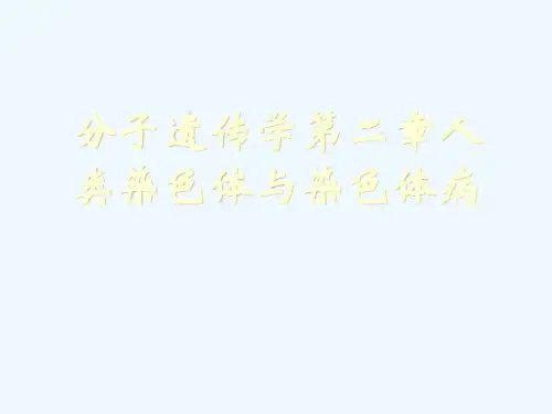 分子遗传学第二章人类染色体与染色体病[可修改版ppt]