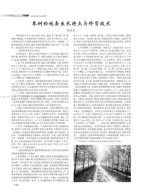 枣树的枝条生长特点与修剪技术