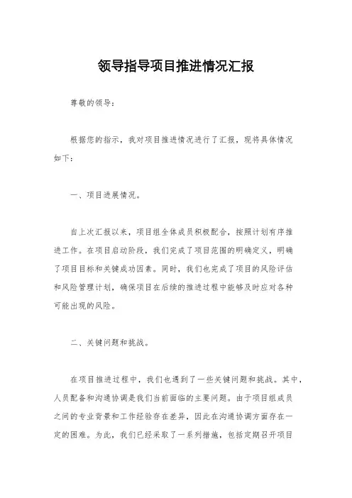 领导指导项目推进情况汇报