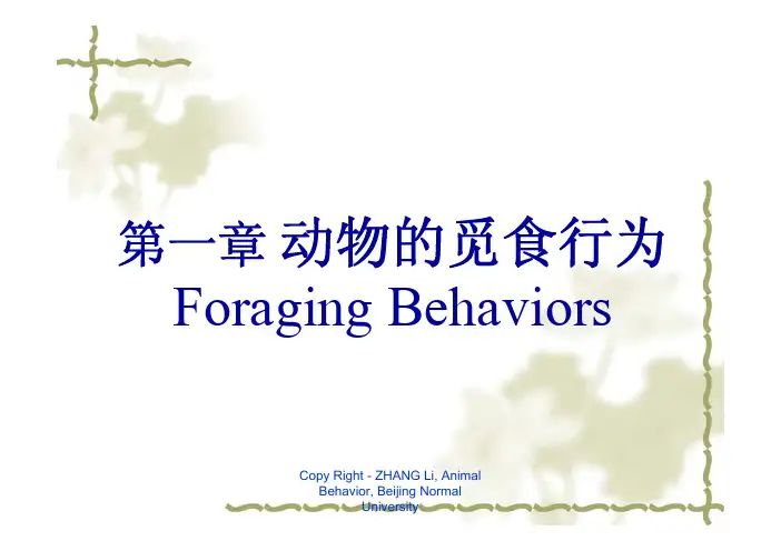 第一章  动物的觅食行为