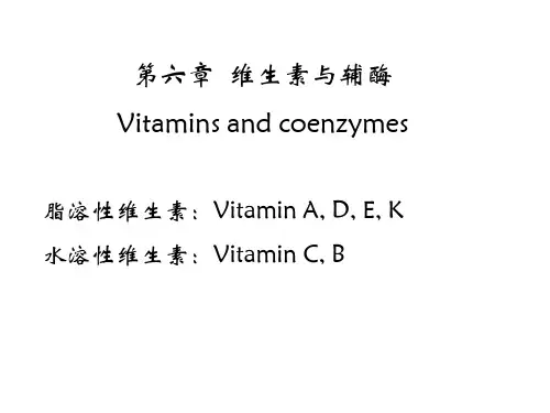 维生素与辅酶 ppt课件