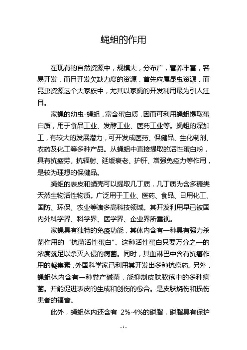 蝇蛆的作用