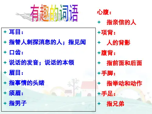 小升初基础词语