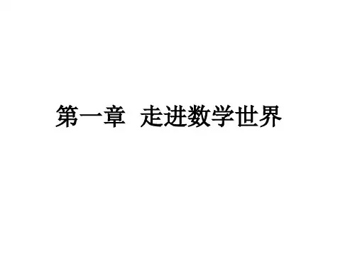 走进数学世界