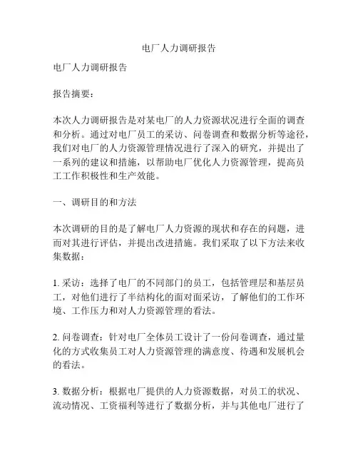 电厂人力调研报告