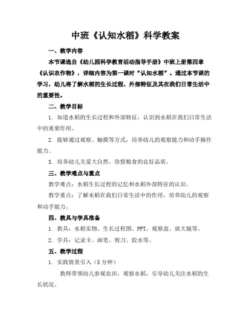 中班《认知水稻》科学教案