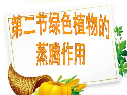 济南初中生物七上《2.1第2节 绿色植物的蒸腾作用》PPT课件