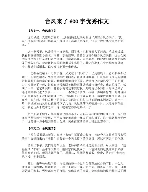 台风来了600字优秀作文